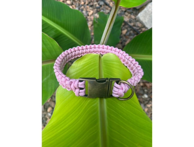 Pawsh Pup Co Cobra Braid in Pink & White Stripes - Handmade Dog Collar