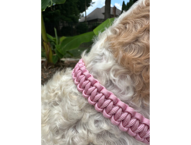 Pawsh Pup Co Cobra Braid in Pink & White Stripes - Handmade Dog Collar