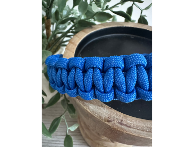 Pawsh Pup Co Cobra Braid in Royal Blue - Handmade Dog Collar
