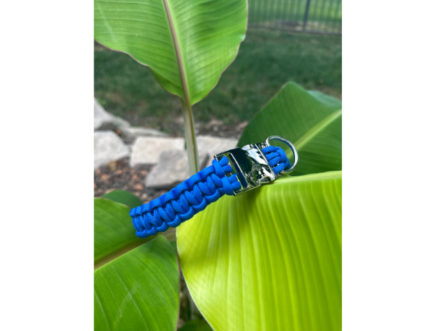 Pawsh Pup Co Cobra Braid in Royal Blue - Handmade Dog Collar