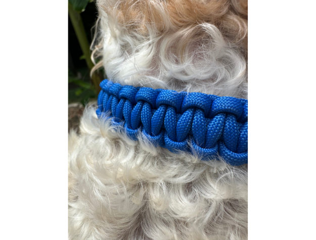 Pawsh Pup Co Cobra Braid in Royal Blue - Handmade Dog Collar