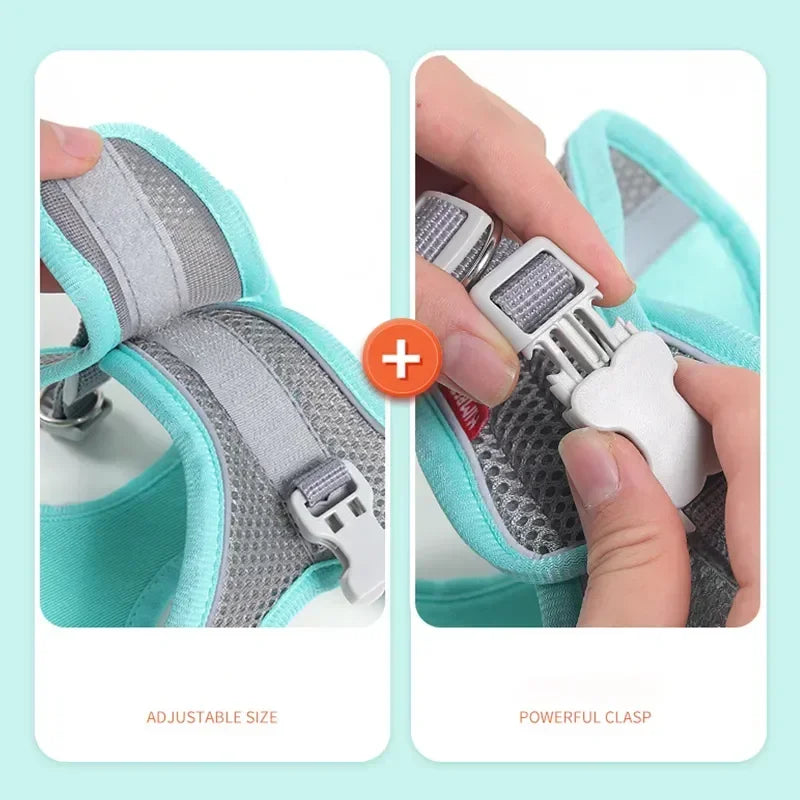 Cats Dog Accessories Small Dog Collar Safety Vest Pet Chest Rope Dogs Cover Breathable Adjustable Harnesses Supplies Products