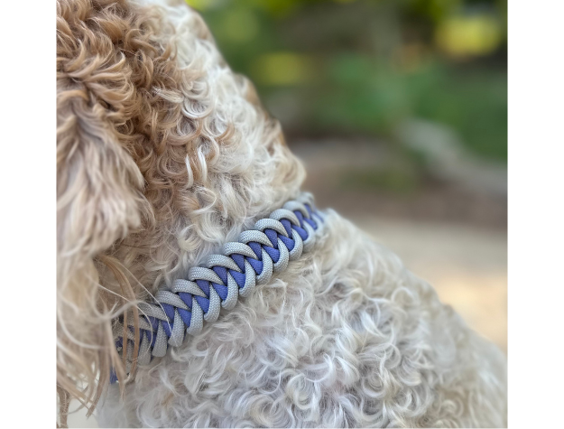 Fishtail Hand Braided Dog Collar in Lavender & Smoke