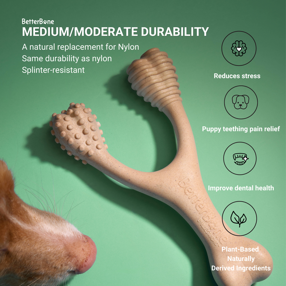 BetterBone MODERATE Durability CHEW TOY: Perfect Chew for Everyday Chewers | Naturally Derived Ingredients, Eco-Friendly, Non-Toxic