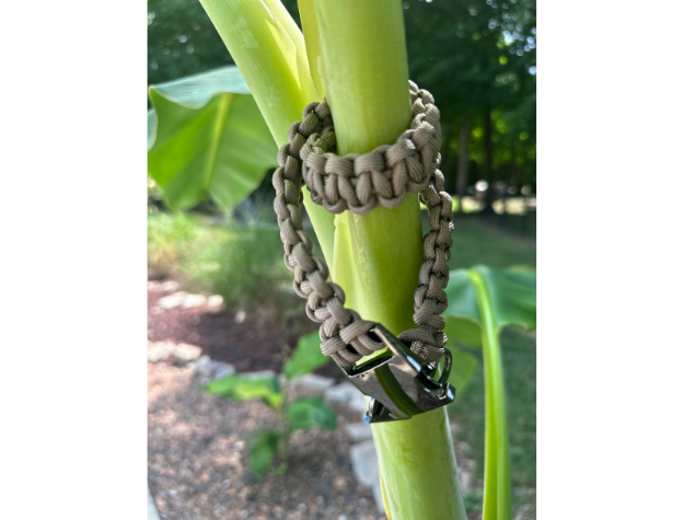 Pawsh Pup Co Cobra Braid in Tan - Handmade Dog Collar