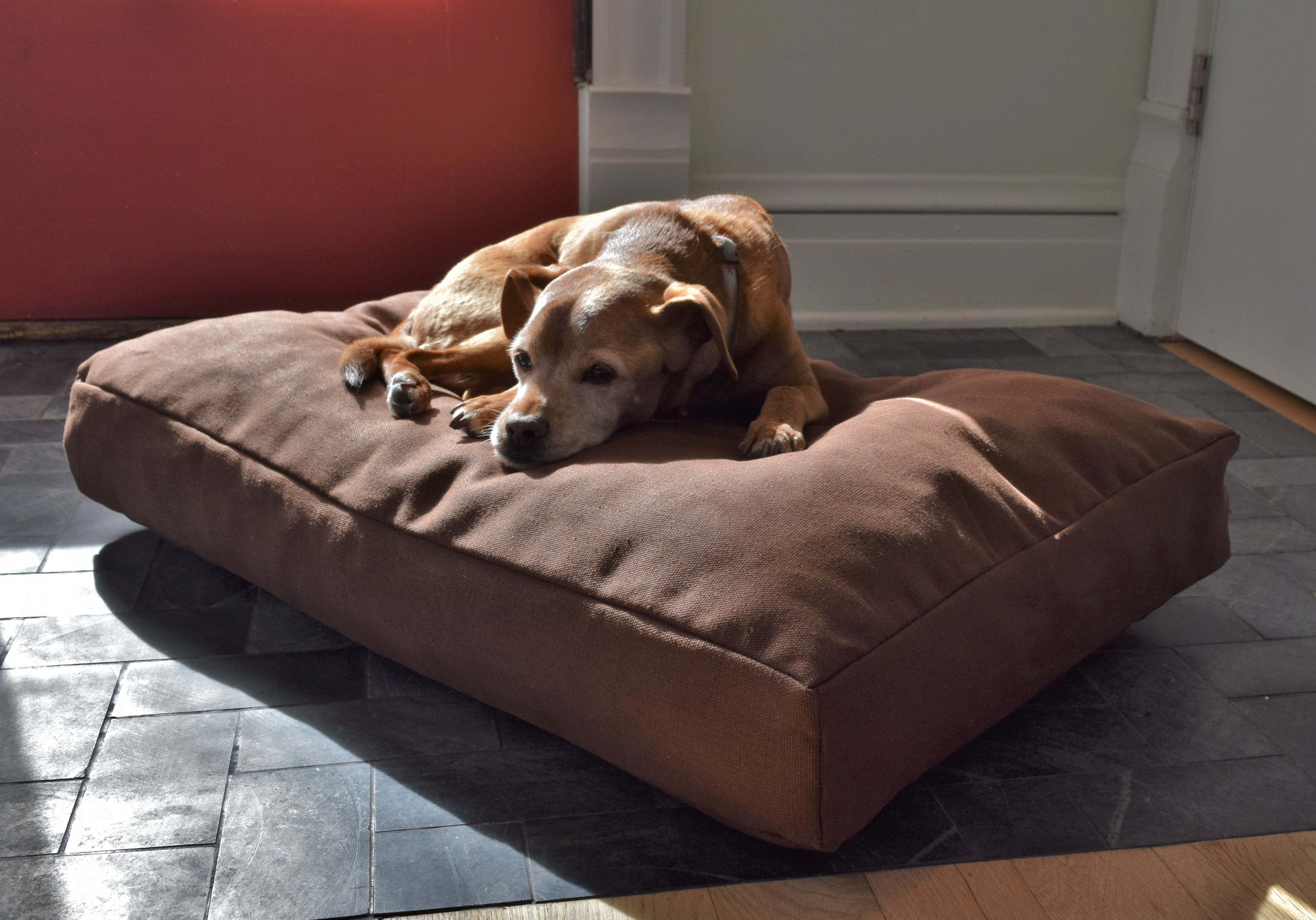 Bean Products Premium Hemp Dog Bed - Lightweight CertiPUR Foam Fill