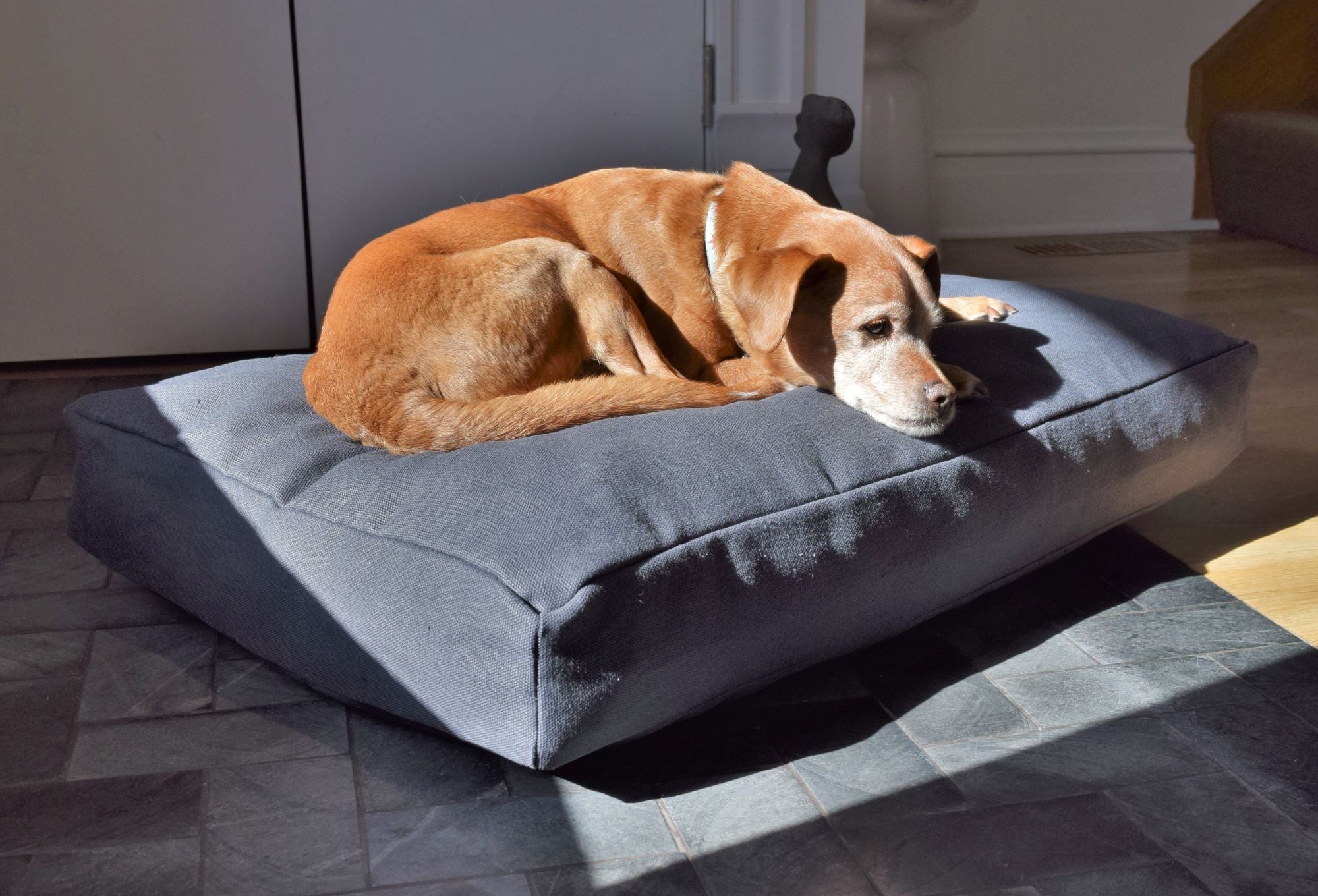 Bean Products Premium Hemp Dog Bed - Lightweight CertiPUR Foam Fill