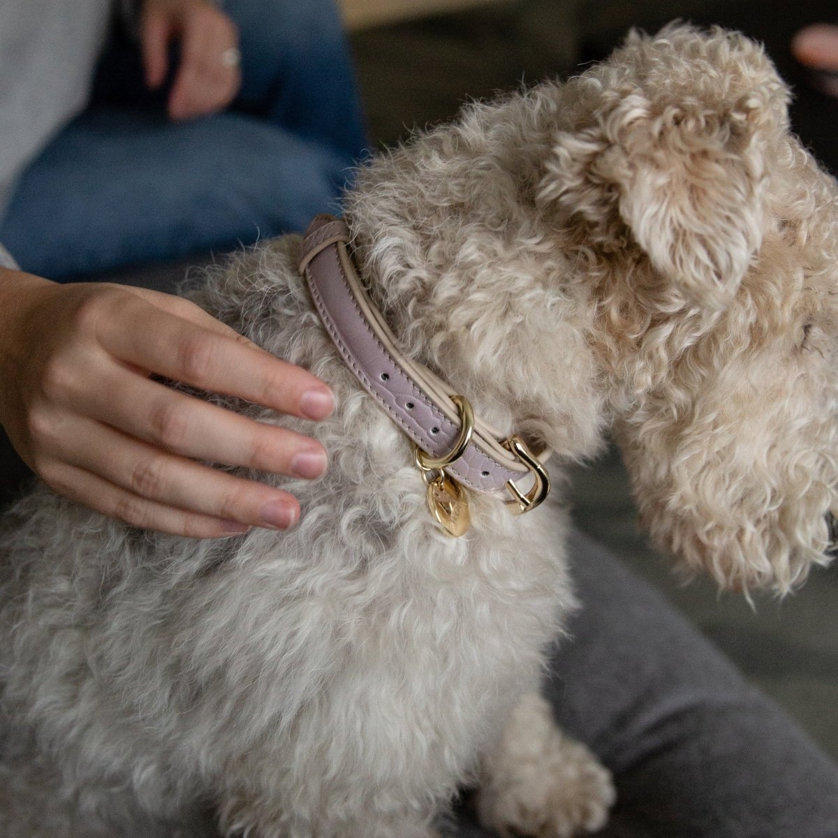 Nina Woof Collar - Vegan Leather