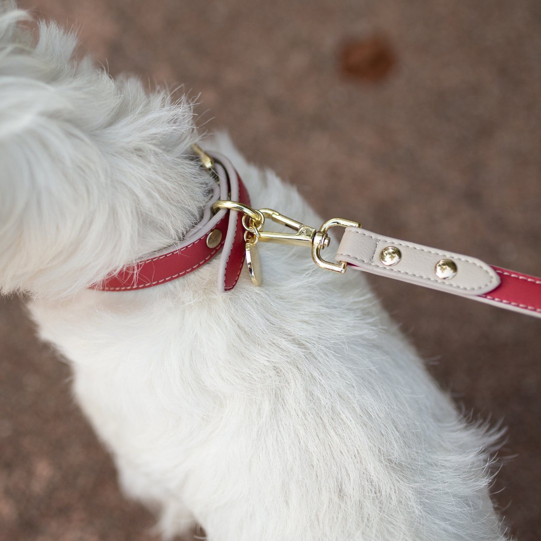 Nina Woof Leash 4ft - Vegan Leather - Copenhagen