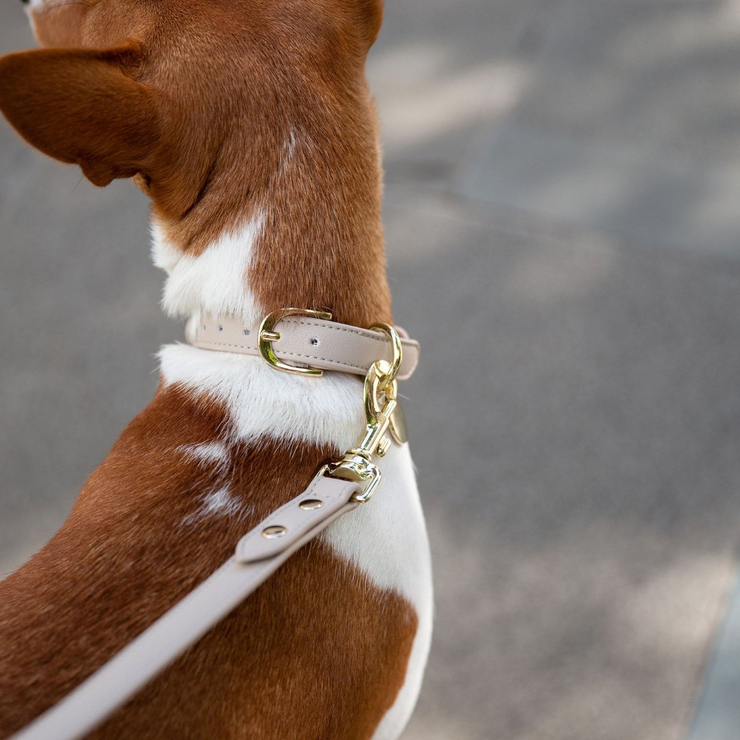 Nina Woof Collar - Vegan Leather