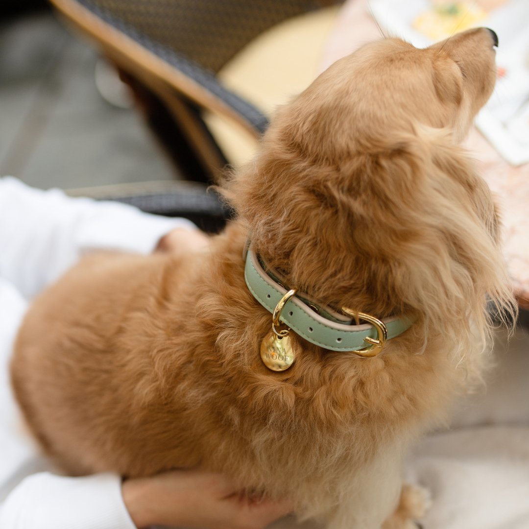 Nina Woof Collar - Vegan Leather - Copenhagen