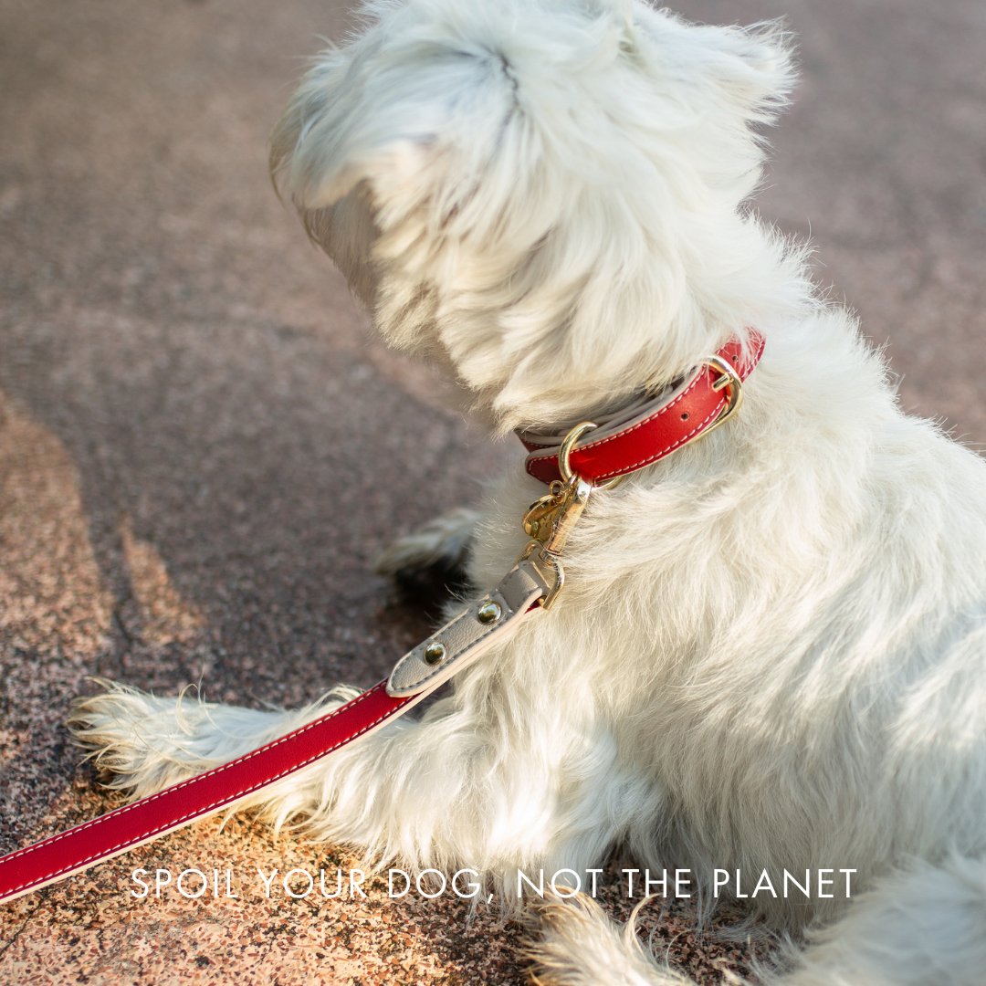 Nina Woof Collar - Vegan Leather - Copenhagen