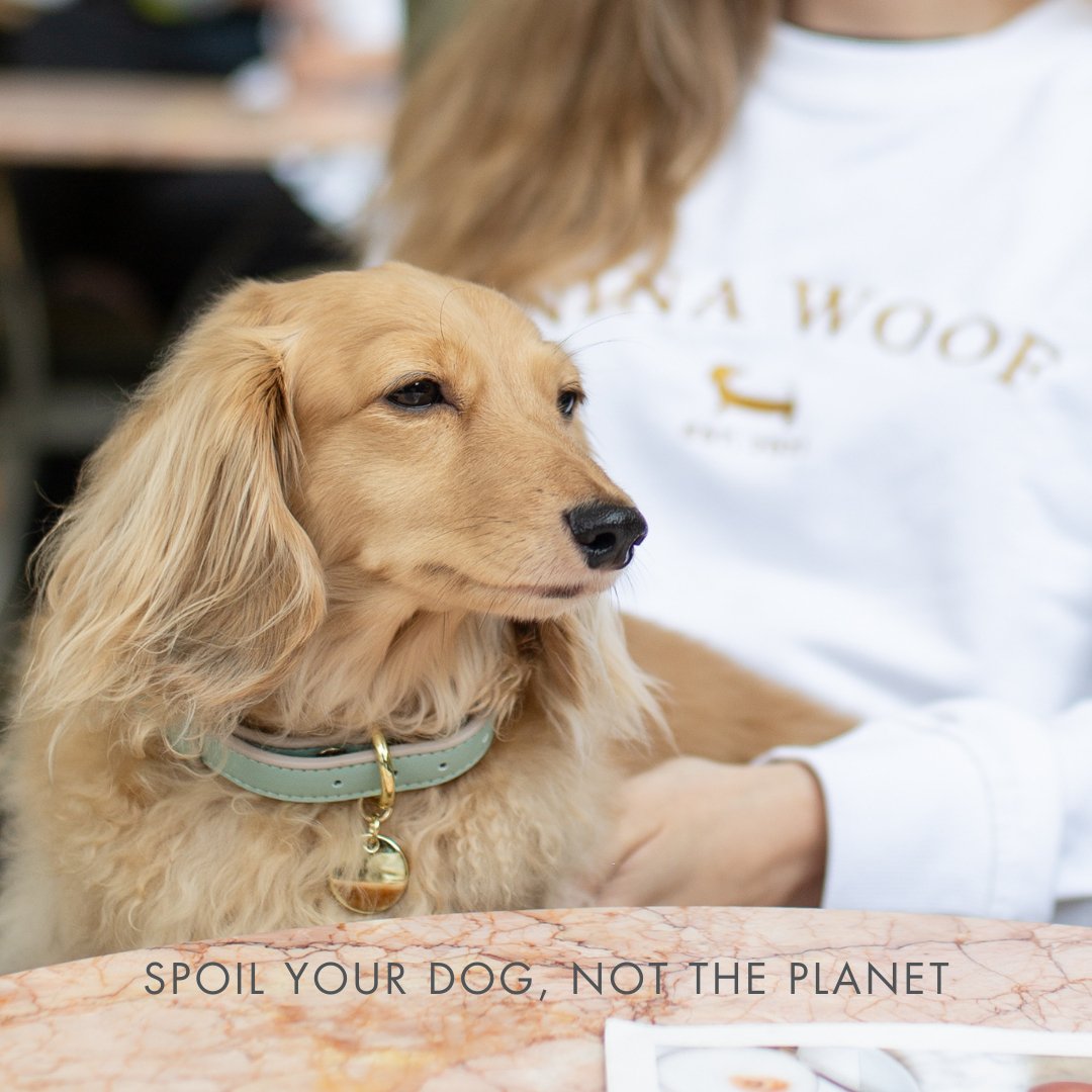 Nina Woof Collar - Vegan Leather - Copenhagen