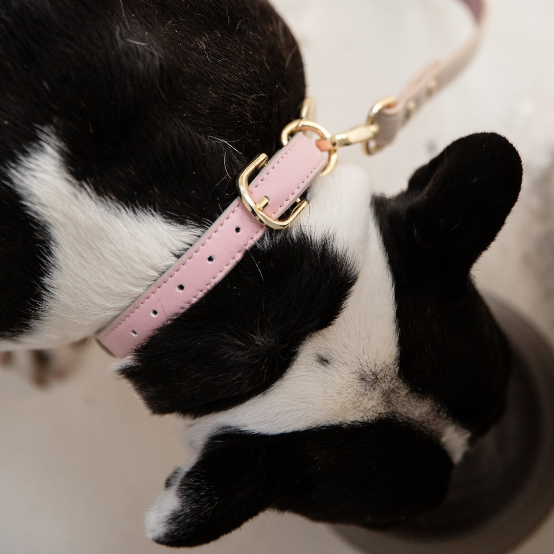 Nina Woof Collar - Air Tag Enabled - Vegan Leather - Cupertino