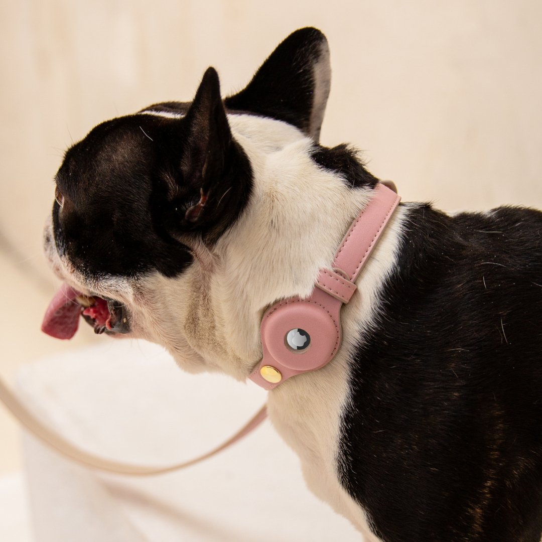 Nina Woof Collar - Air Tag Enabled - Vegan Leather - Cupertino