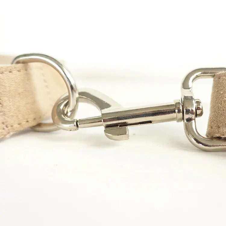 Creative Teddy Dog Leash - Eco-Friendly