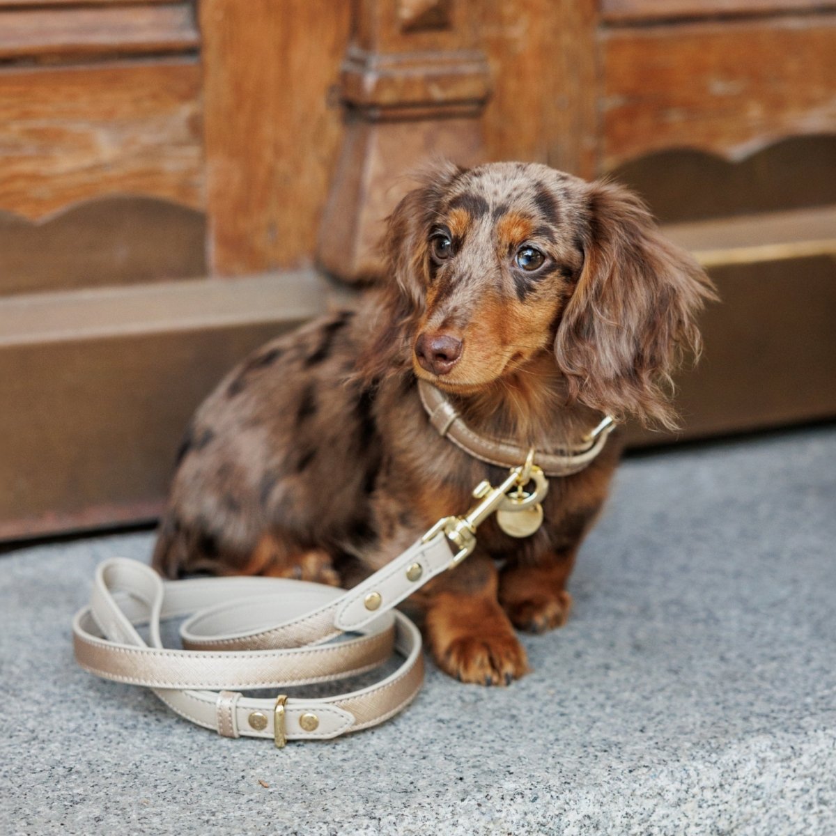 Nina Woof Leash 4ft - Vegan Leather