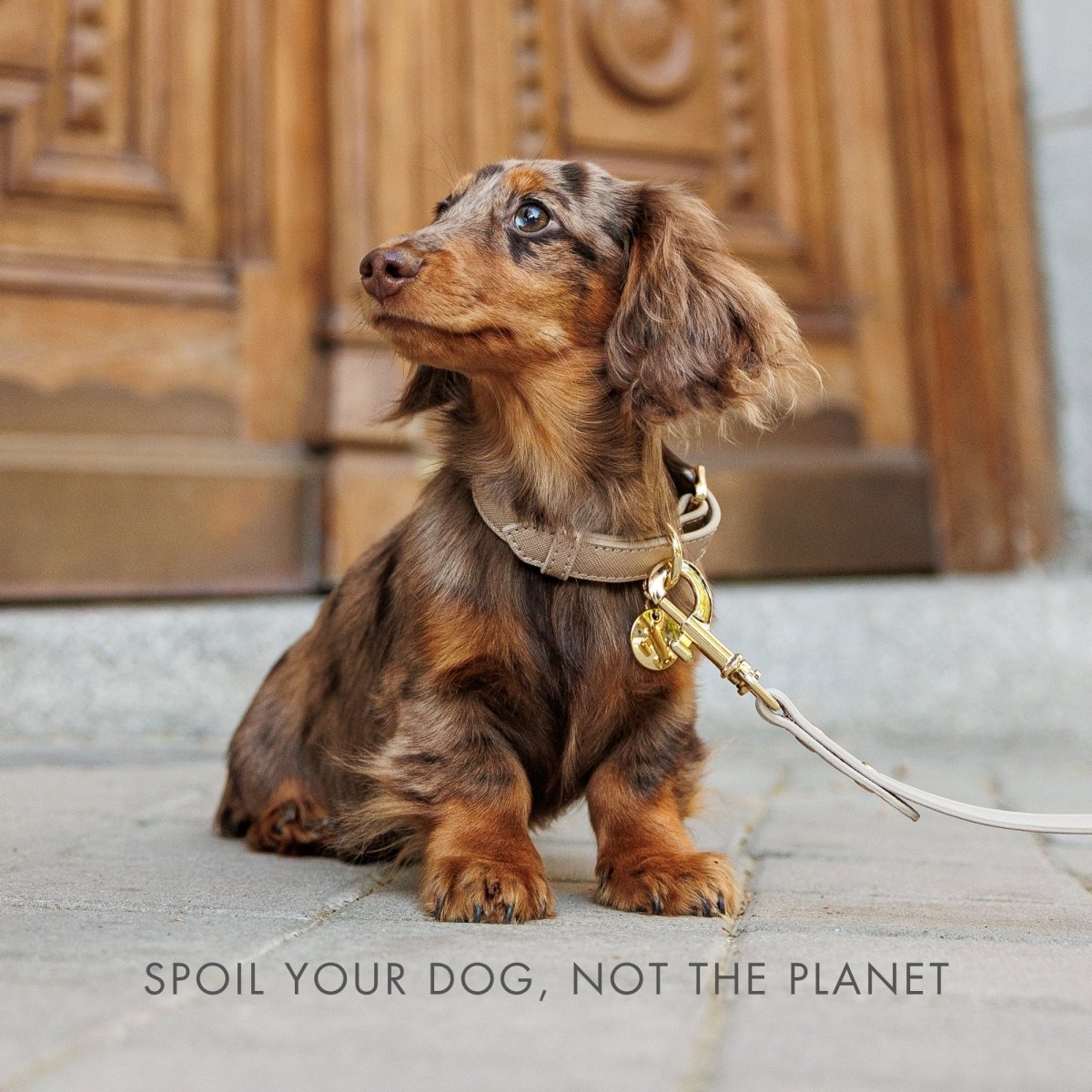 Nina Woof Leash 4ft - Vegan Leather