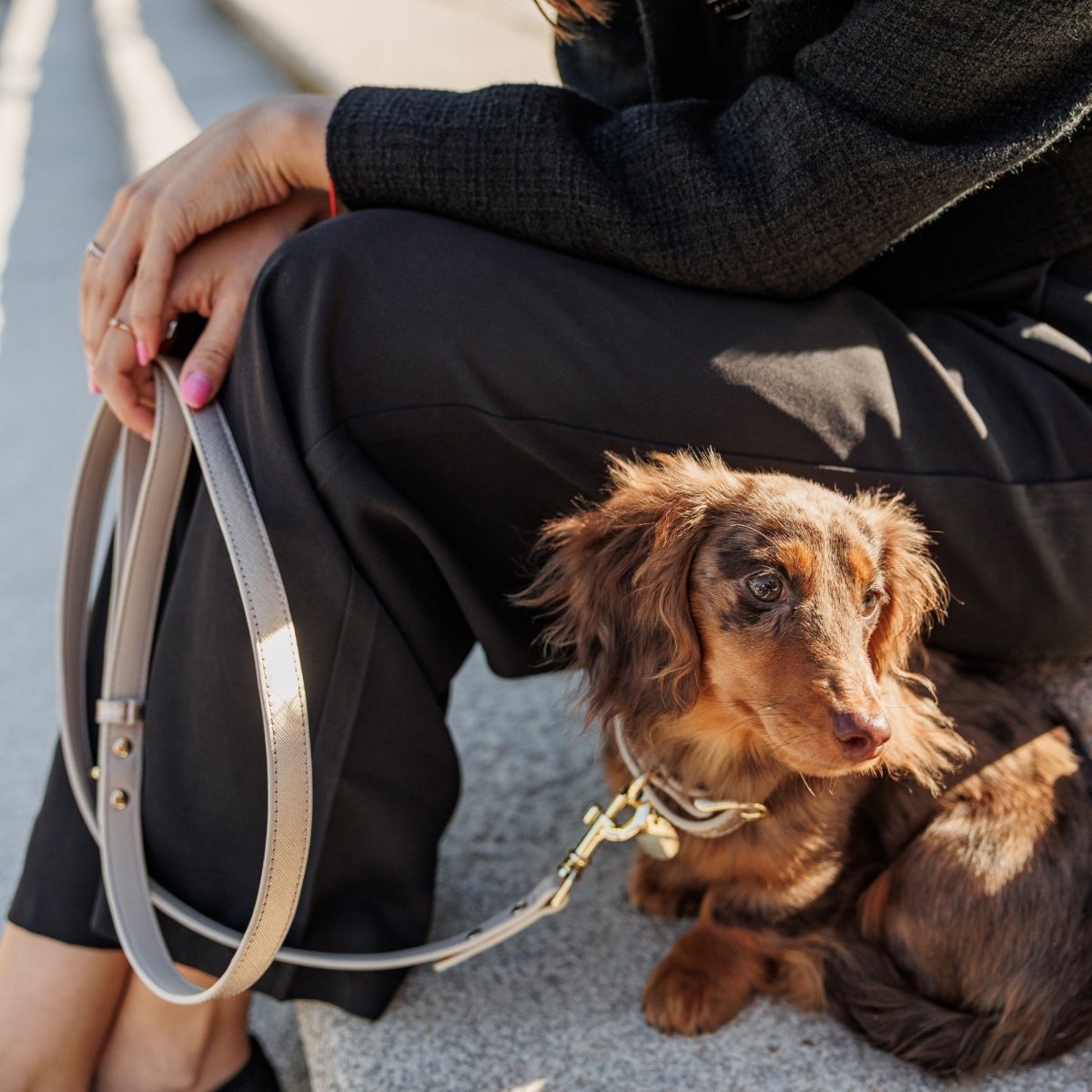 Nina Woof Leash 4ft - Vegan Leather