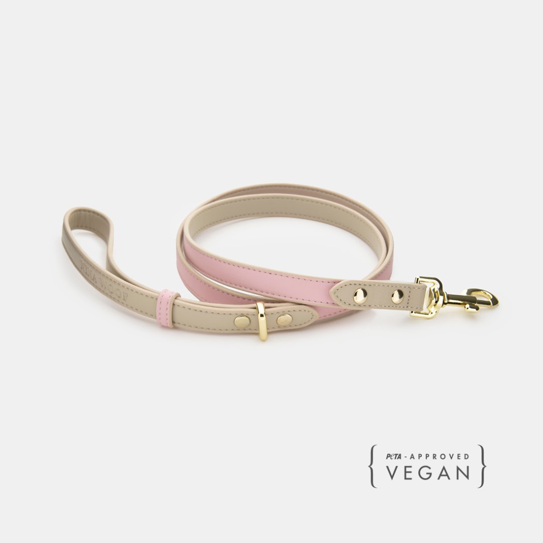 Nina Woof Leash 4ft - Vegan Leather - Cupertino