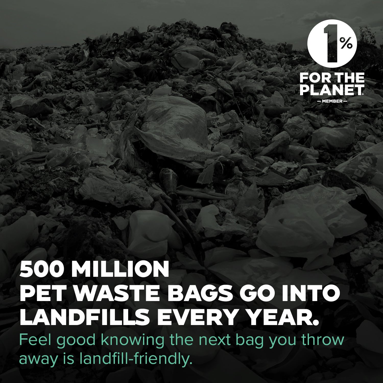 NEXT Landfill-Friendly Rolled Bags - 240 Standard Bags
