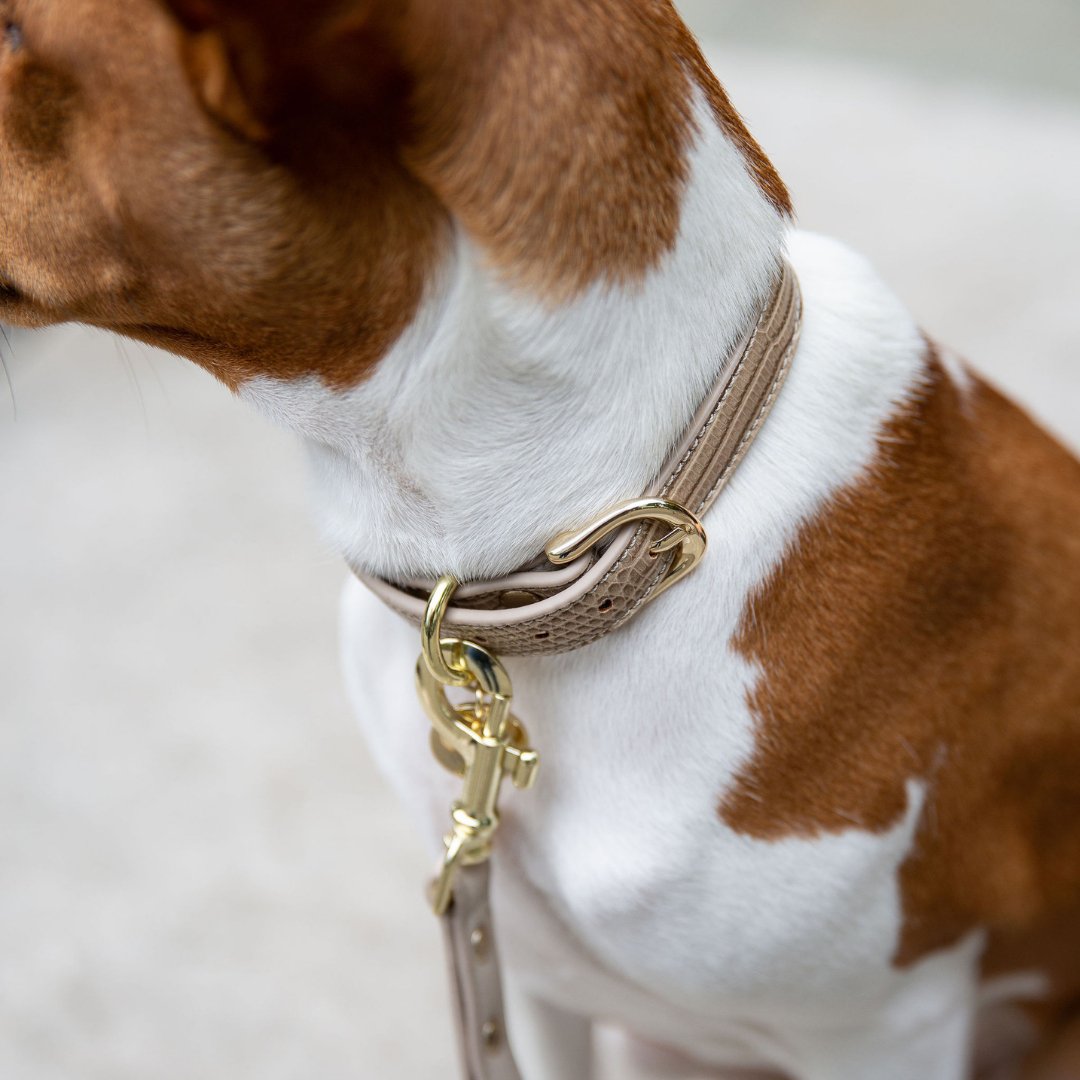 Nina Woof Collar - Vegan Leather - Milan