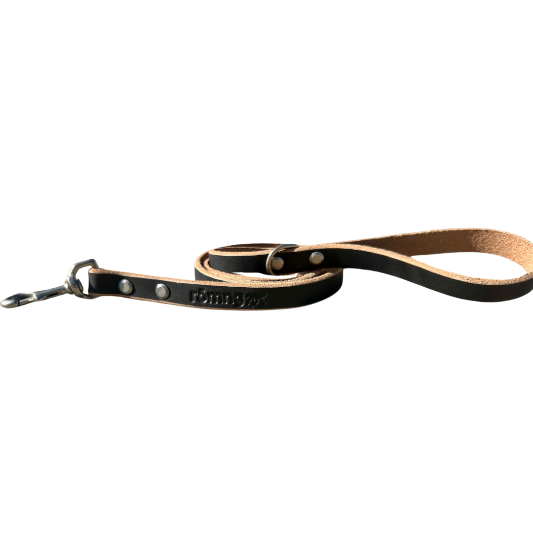 romng handmade Veg- leather dog leash