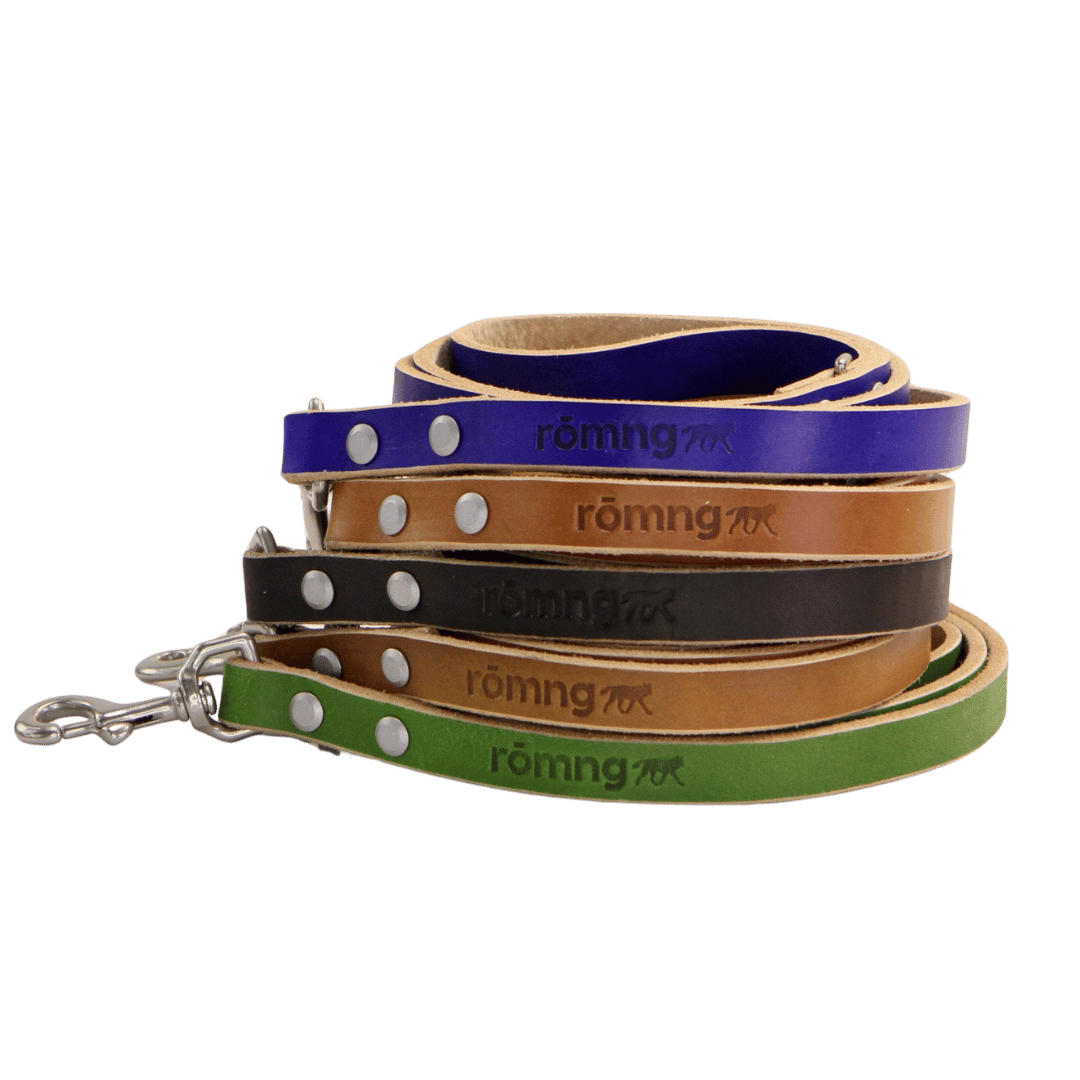 romng handmade Veg- leather dog leash
