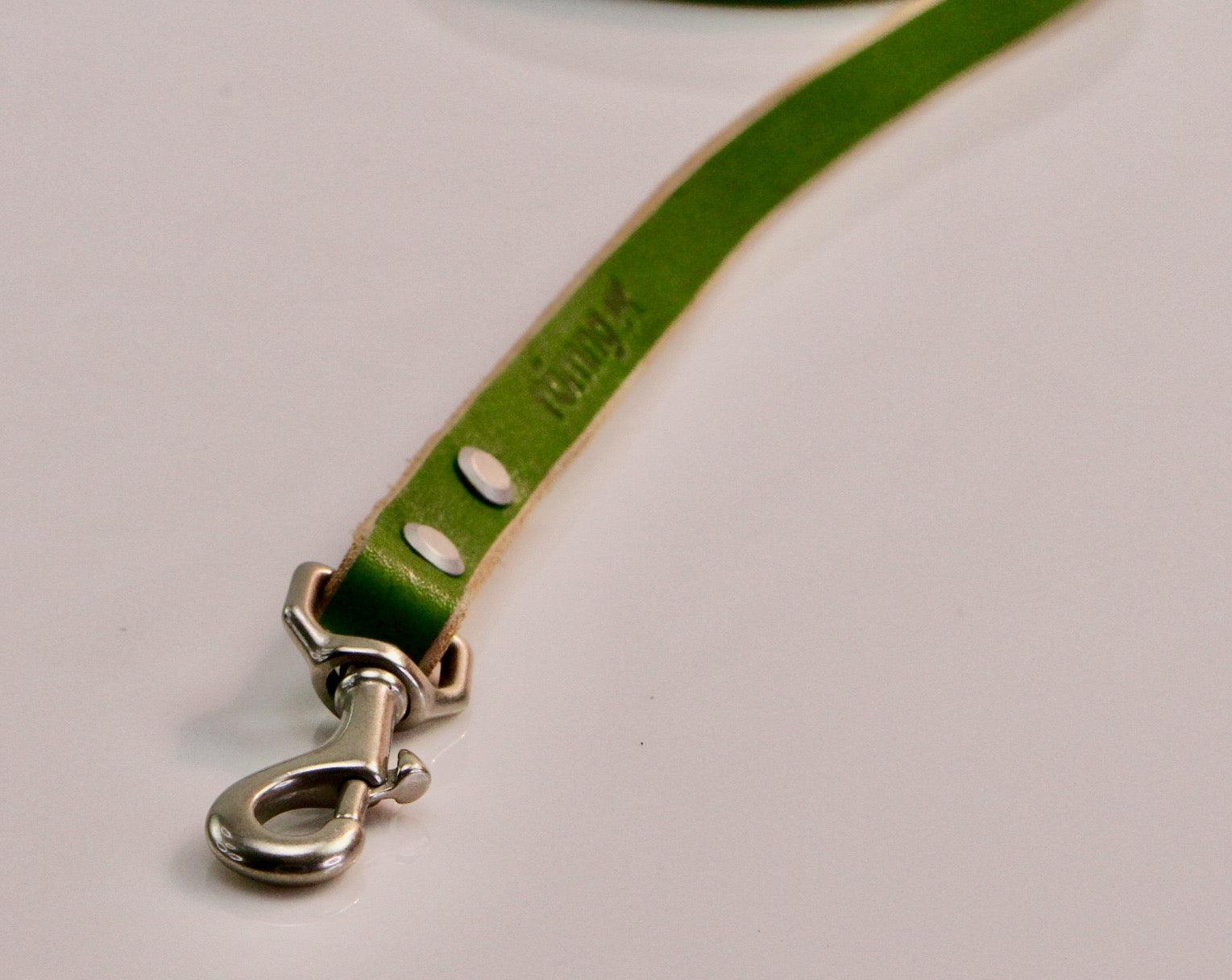 romng handmade Veg- leather dog leash