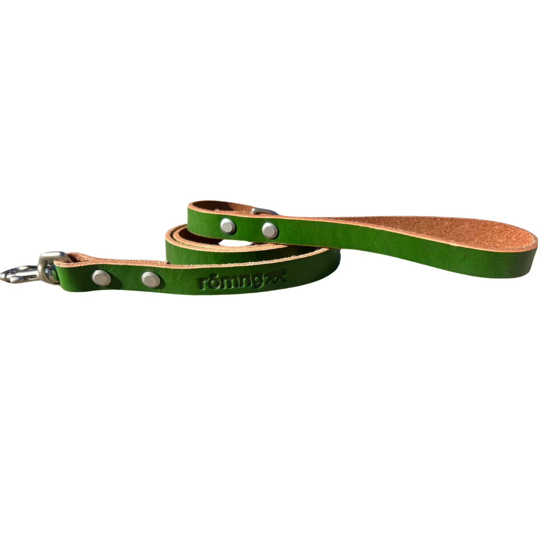 romng handmade Veg- leather dog leash