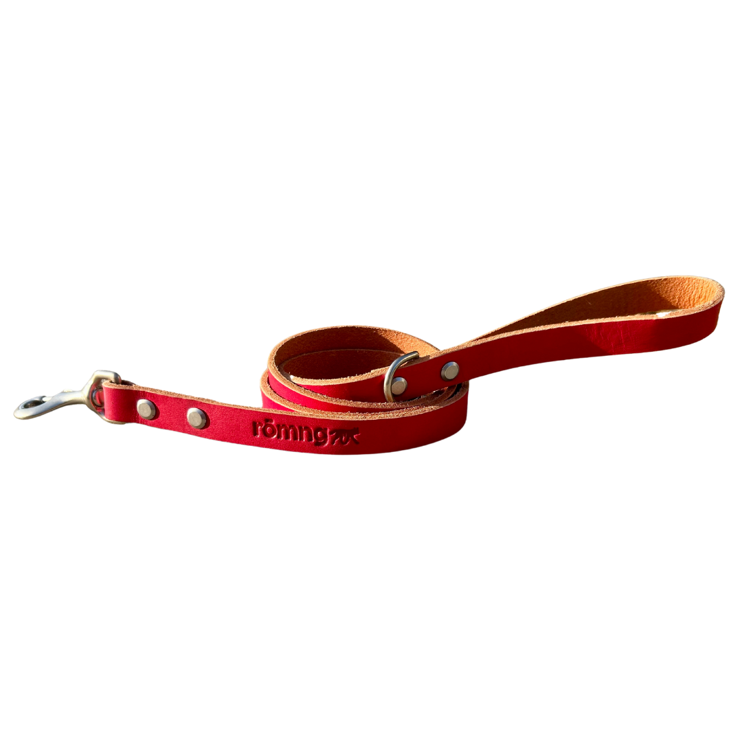 romng handmade Veg- leather dog leash