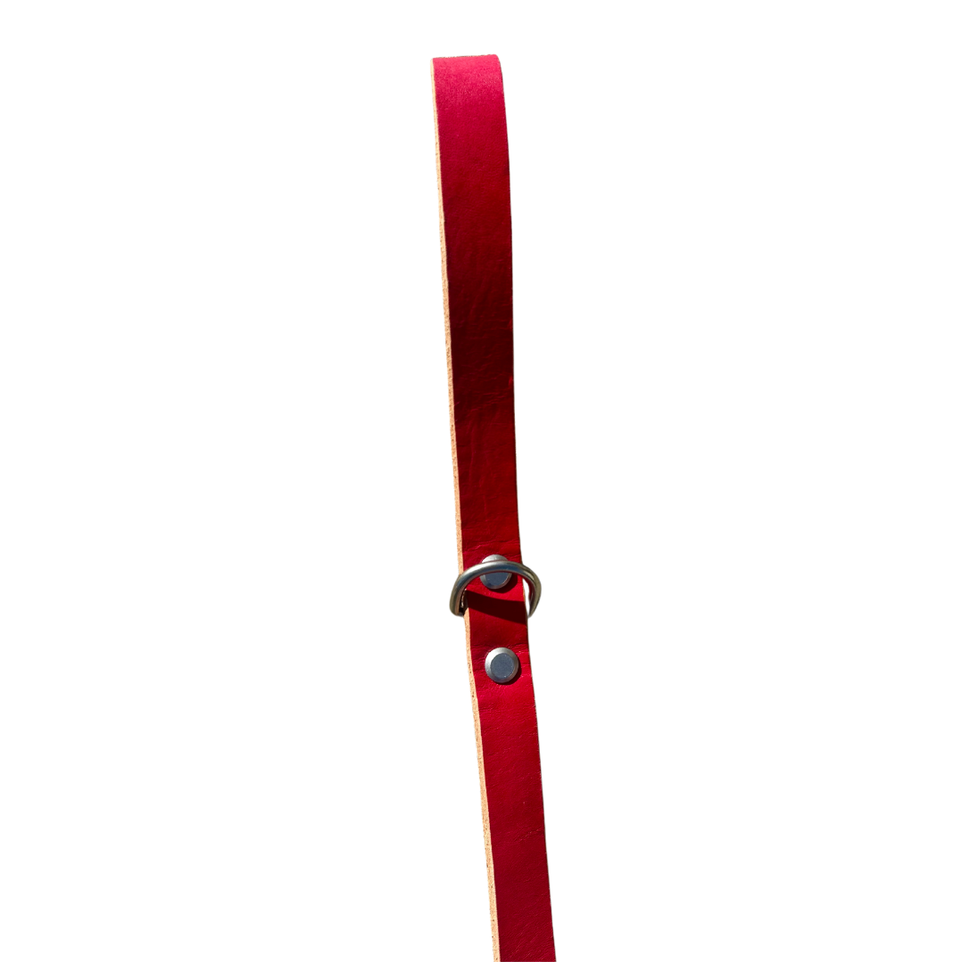 romng handmade Veg- leather dog leash