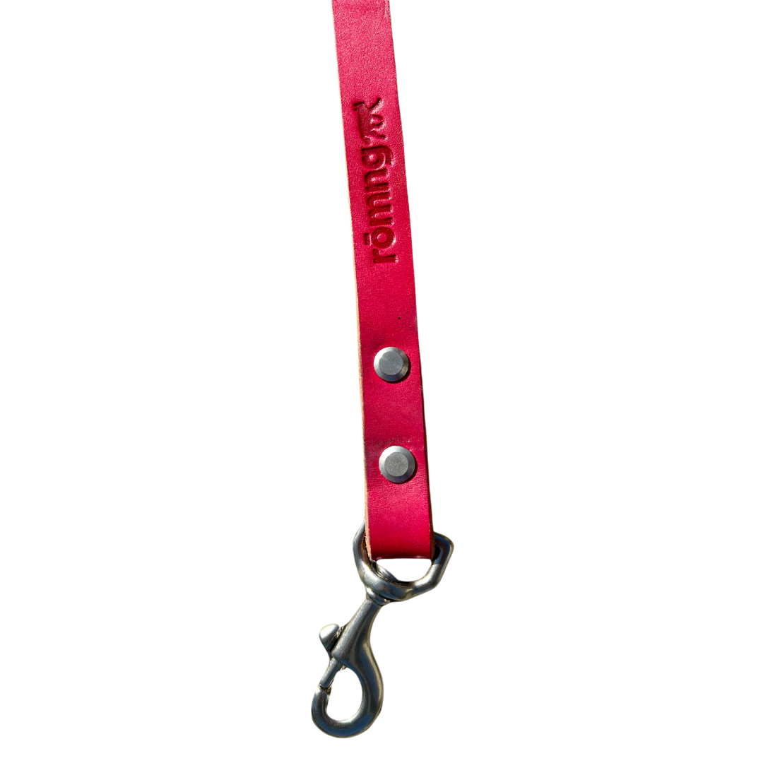 romng handmade Veg- leather dog leash