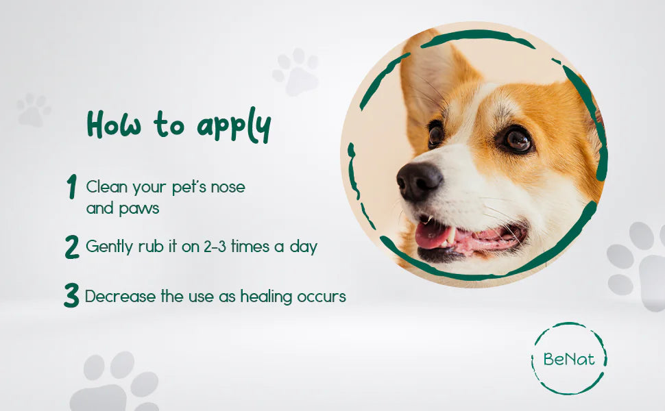 BeNat All Natural Pet Balm. 0.9 oz. Eco Friendky